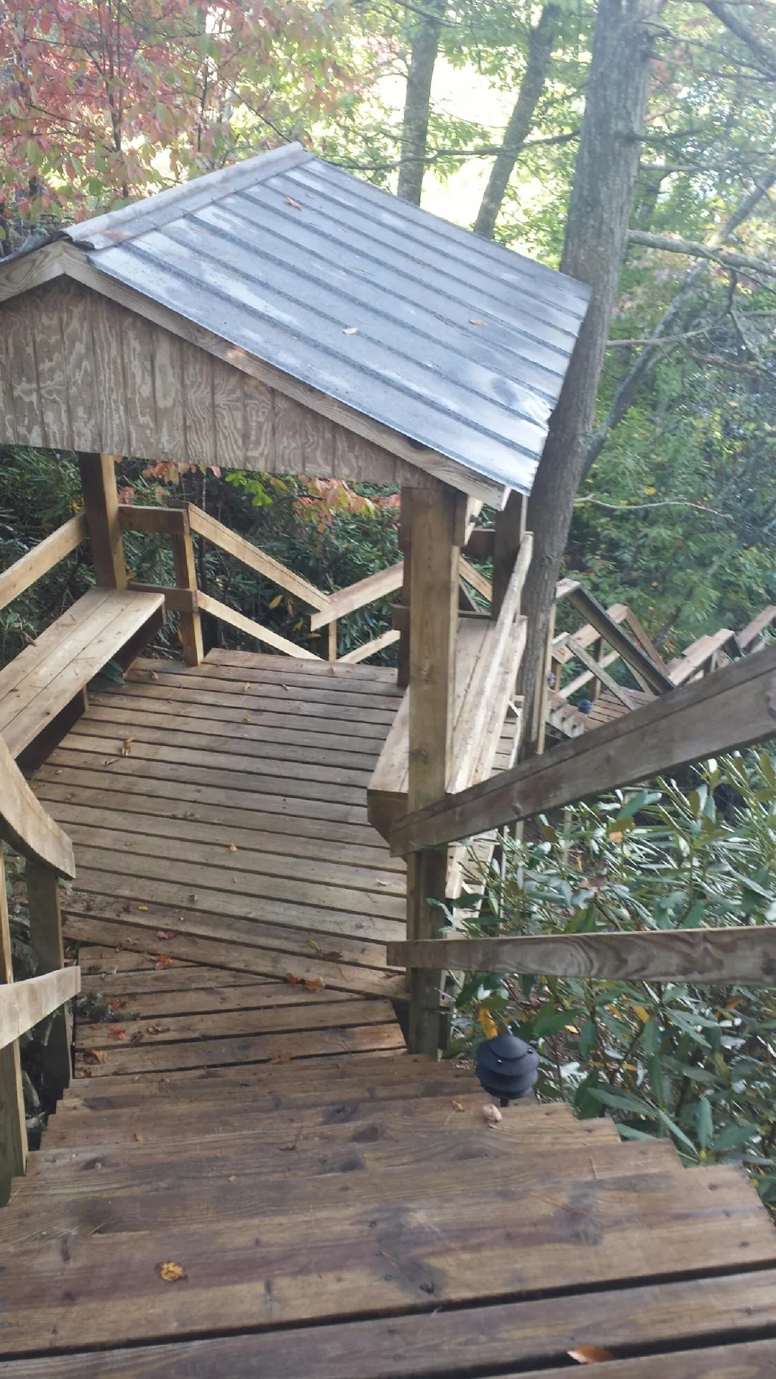 Metal roofed shelter over wooden steps on a wooded walkway — Skylight Repair & Installation work by our crew in Gig Harbor