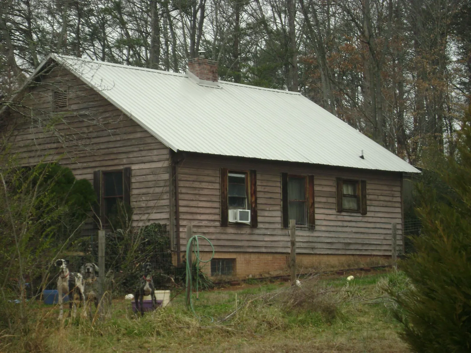 White metal roof on an old wood sided farmhouse, from a Metal Roof Installation job in Gig Harbor